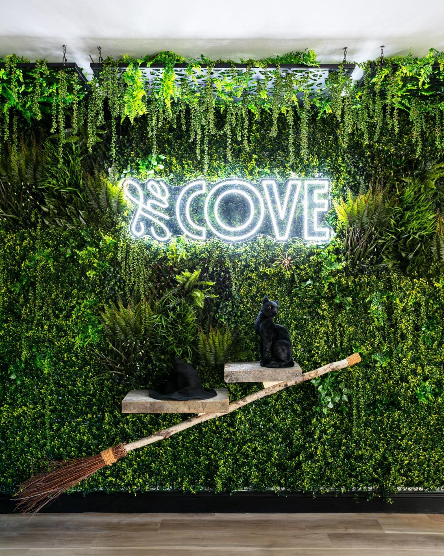 The Cove At Hotel *